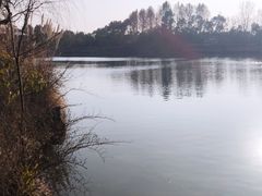 -上海怡沁园度假酒店