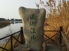 -溱湖国家湿地公园