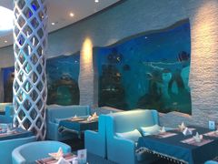 -瑞德姆美人鱼海底演艺主题餐厅(亚龙湾店)