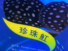 -常州海昌海洋探索馆