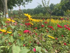 -河南财经政法大学(郑东校区)