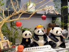 -轩客会(熊猫书店)