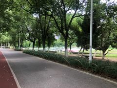 -艾溪湖湿地公园