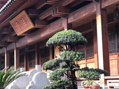 -香积寺