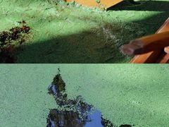 -渌洋湖湿地公园
