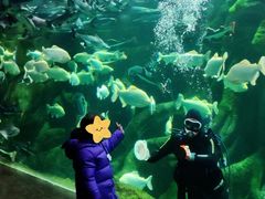 -哈尔滨波塞冬海底世界