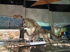 -湖南省地质博物馆