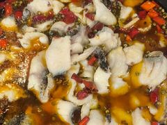 -金三可市井水煮鱼(金碧园店)