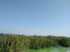 -苏州吴中太湖旅游区