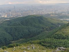 -长虫山生态公园风景林