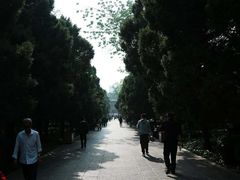 -迎泽公园