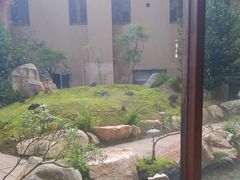 -忆江南·临江鱼馆