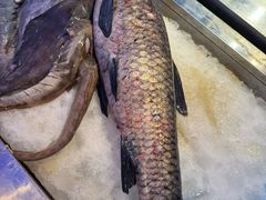 -即墨老公社·海肠捞饭大王(古城店)