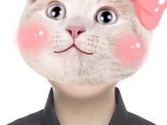 -真我樣照相馆·身份证·证件照·外拍(环球港店)