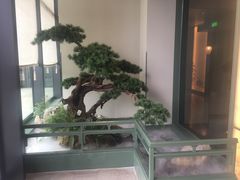 -潮上潮(南中环店)