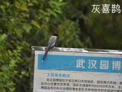 -武汉园博园(武汉自然博物馆)