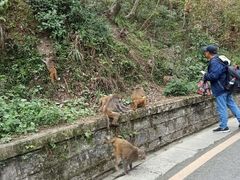 -黔灵山公园-南门售票处