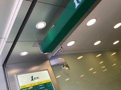 -1点点(江干四季青店)