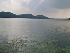 -东湖落雁景区