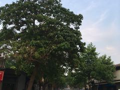 -韩城古城