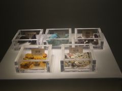 -南越王博物院(王宫展区)