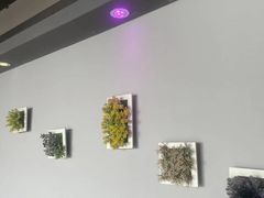 -MS实景娱乐密室逃脱(川大店)