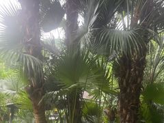 -融汇温泉