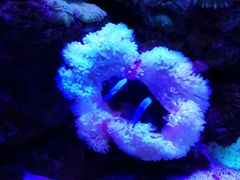 -多彩贵州城极地海洋世界