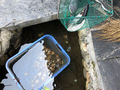 -万景饭店·鱼街农家菜