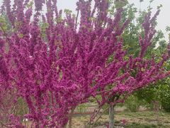 -元大都城垣遗址公园