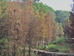 -云溪植物园