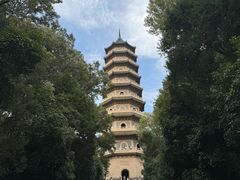 -灵谷景区