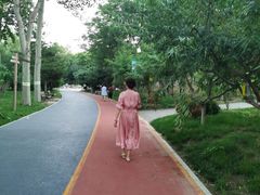 -大兴滨河森林公园