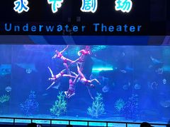 -泉城欧乐堡海洋极地世界