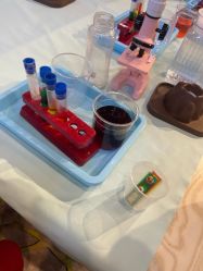 -卡通尼·Safari非洲探索乐园·生日会(金桥国际商业广场店)