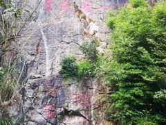 -牛鱼嘴原始生态风景区