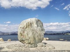 -洱海月湿地公园