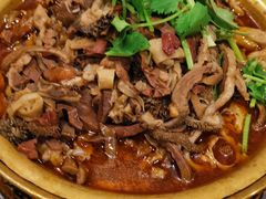 御锅羊杂-老绥元烧麦·家常菜(大召店)
