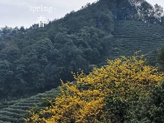 -十里琅珰