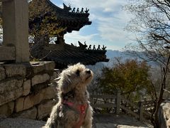 -青州市云门山风景区