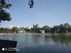 -荔湾湖公园