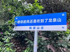 -桃源山庄·水蜜桃采摘·柴火鸡·烧烤团建(龙泉山店)