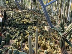 -深圳仙湖植物园-停车场