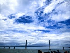 -招商蛇口邮轮母港(观光客运)