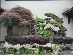 -檀园