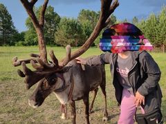 -北极村旅游风景区