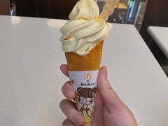 -麦当劳(宾水西道店)