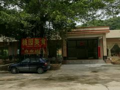 -桃园美食(水库路店)