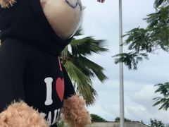 -美国纪念公园