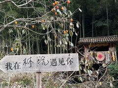 -林坑古村落